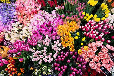 《生化女神：末日开端》新预告 试玩版已上线